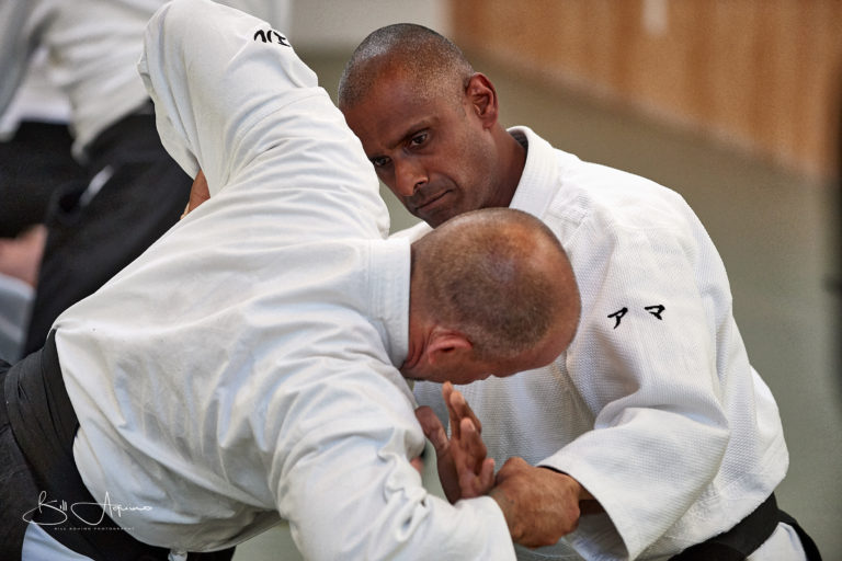 Read more about the article The Pursuit of Excellence in Aikido Training