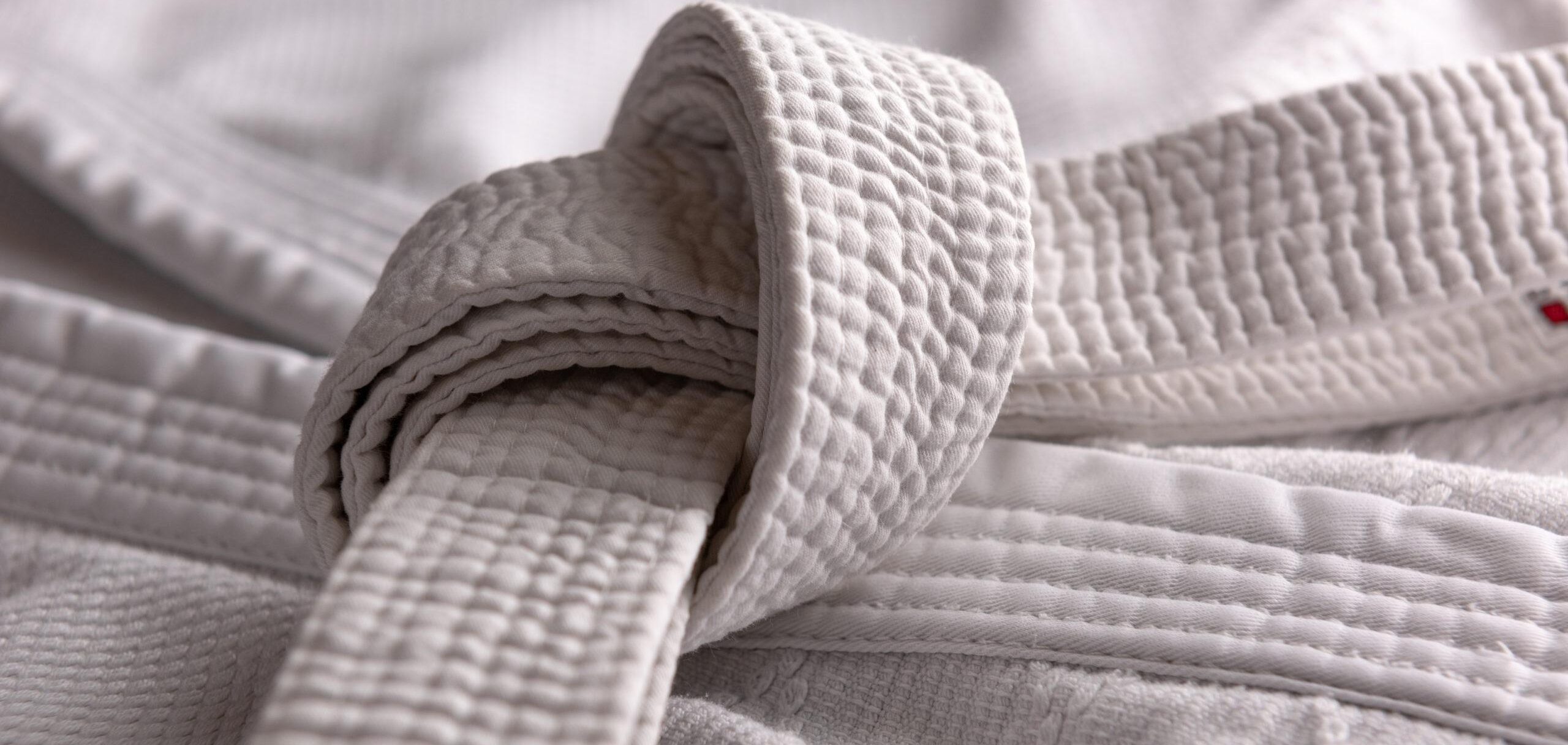 You are currently viewing Beginner’s Guide To Aikido