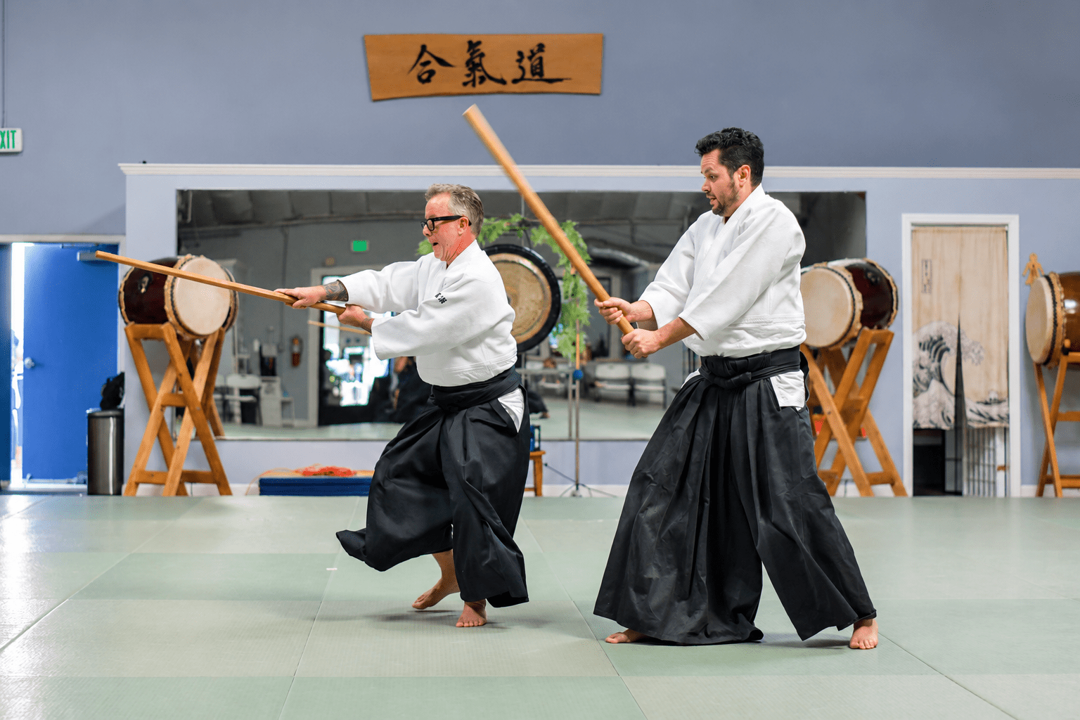 Daniel Brasse Sensei demonstrating integrated Aikido principles